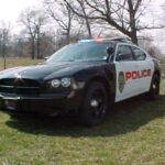 A police car parked in the grass near a tree.